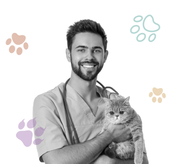 Fraser - Red Hill Vet Clinic | Veterinary Clinic Pets Enjoy Visiting